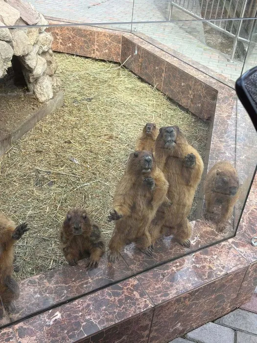 otVN1DvxZ7OUb2l174c1oaxlkRfJZ_sBZyx8QU6y8BWB3CwNyI57z6P3n8m4Cu32OIISx9SY2mwkJ-jwXRV9o37-