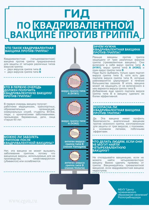 Гид по квадривалентной вакцине гриппа