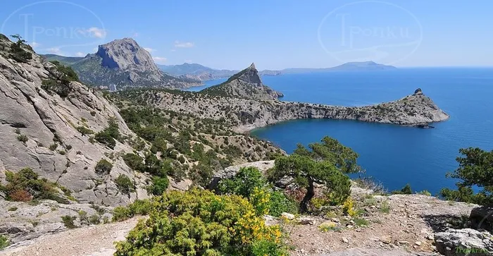 4aEanyt03I8BgTqtAi_CWCjeCBV_IBzvmoWNt36pEofCauJ7mH0cl96UW-OCUhJxy2HQbf-GqEhI4hd7PDmQCqzw