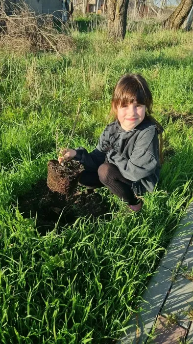 pkh4Ukw3cCZXEc4UMD09jF6-T5RLZqn9cy0uVJljOp_R9gIHLAotuP6_EmIym9o02oqNZT3rU0ugKsCnLzesRT-P